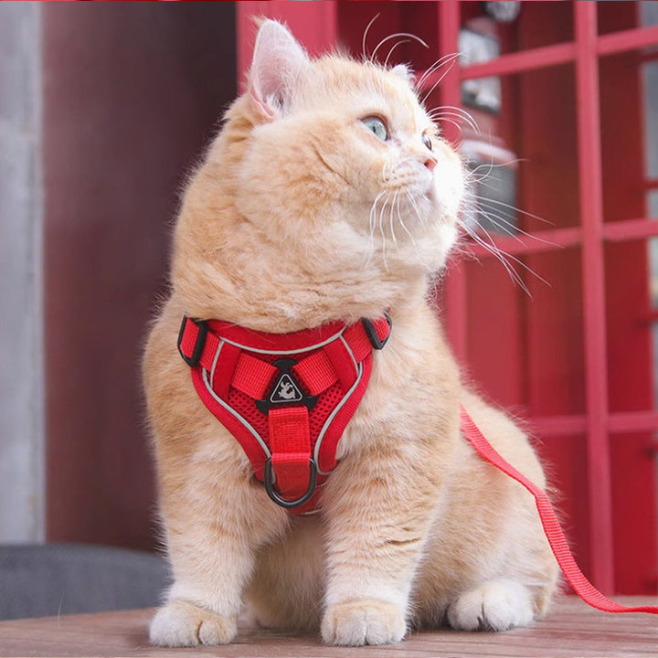 Discover the Perfect Vest Style Pet Chest Harness With Leash