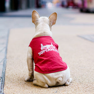 Fashion Summer Pet Personality T Shirt Apparel