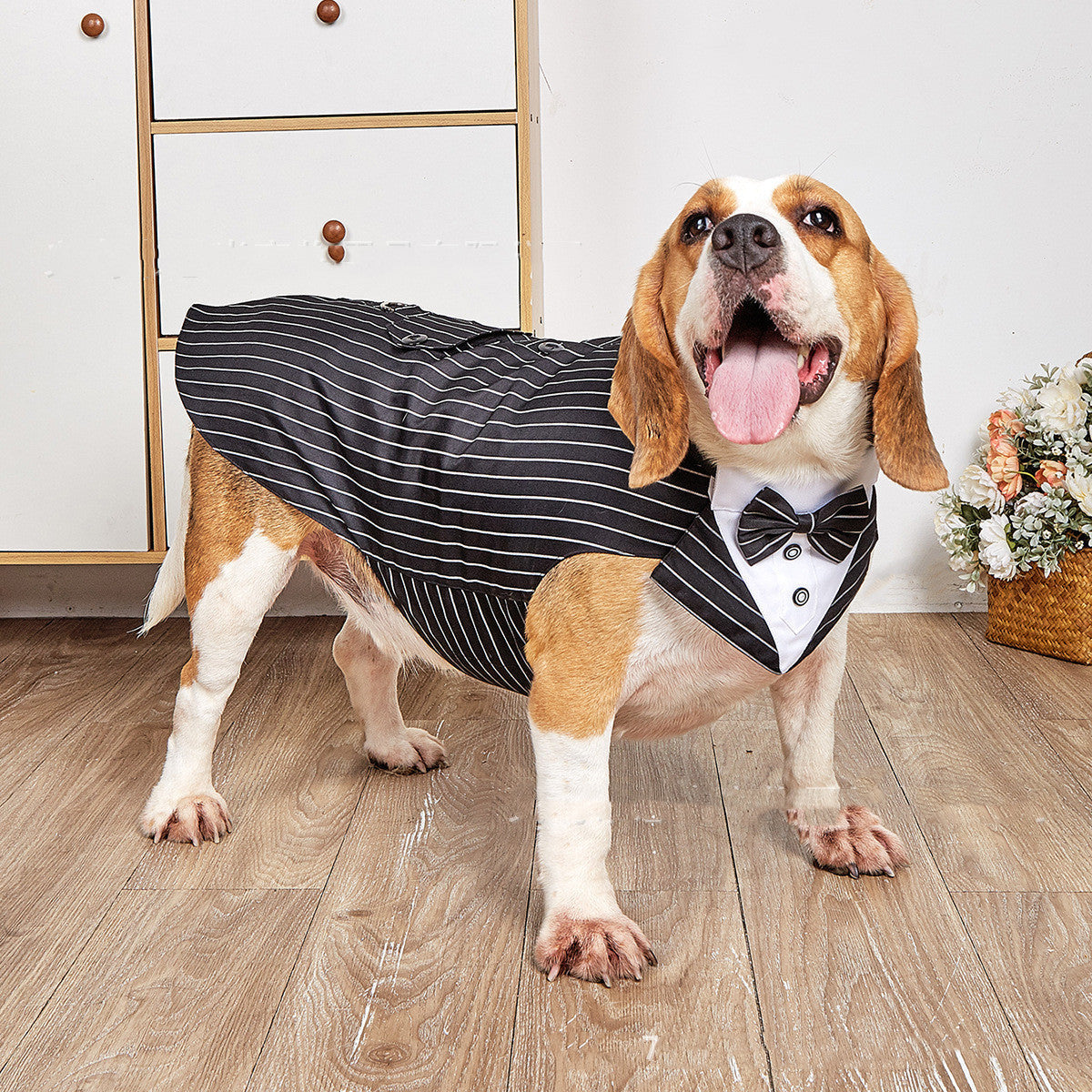 Make Your Pet the Star of the Wedding with the Swallowtail Pet Wedding Suit Jacket