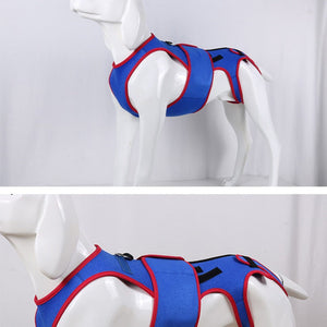 Transform Your Pet's Posture with Our Spine Support Jacket